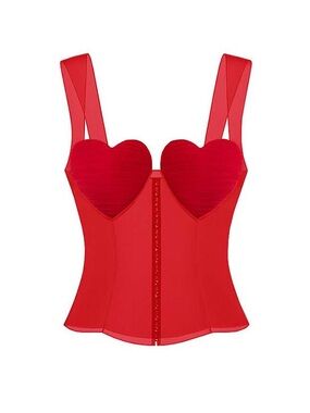 ♥️ Stunning Ms. Heart Bustier (Sheer Bodice) by Stolen Stores - Size Small- NWOT